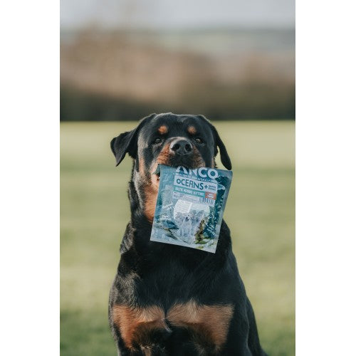 Anco Oceans+ Baltic Herring Buttons with Pumpkin 80g BBD 11/24