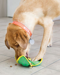 KONG Ballistic Hide 'N Treat