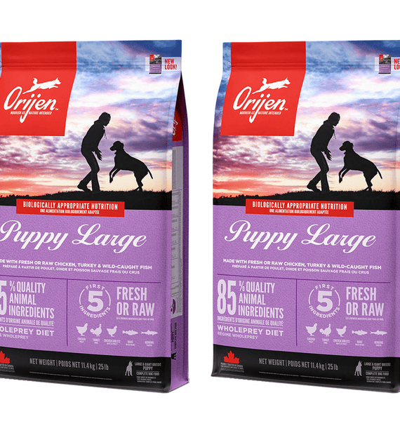 Orijen puppy top dog food